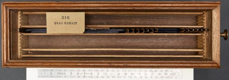 Boîte de poinçons typographiques : gras romain corps 5