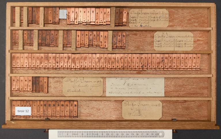 Tiroir de matrices : anglo-saxon