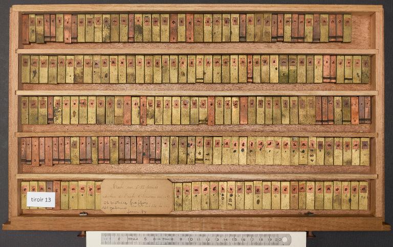 Tiroir de matrices : arabe d'Avicenne corps 12