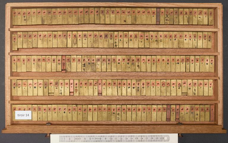 Tiroir de matrices : arabe d'Avicenne corps 12