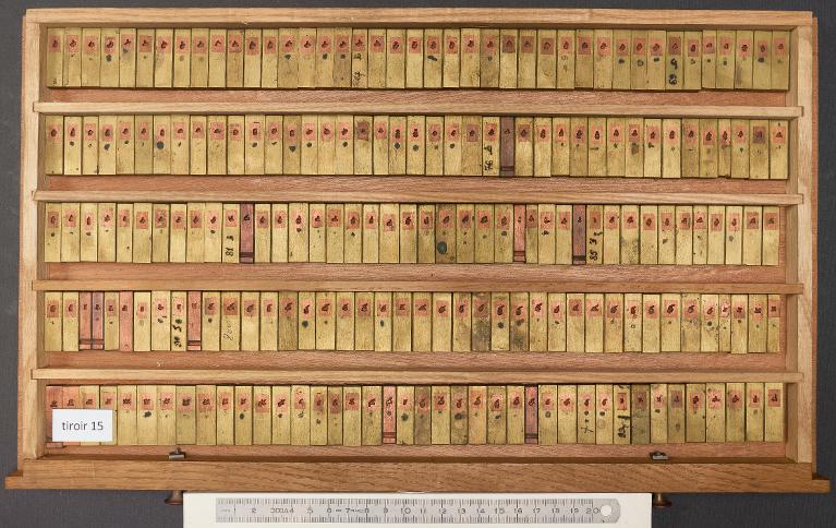 Tiroir de matrices : arabe d'Avicenne corps 12