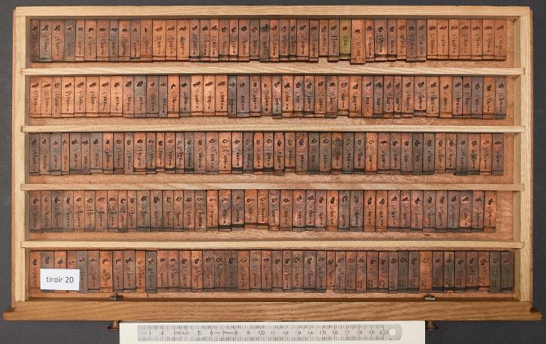 Tiroir de matrices : arabe d'Avicenne corps 17