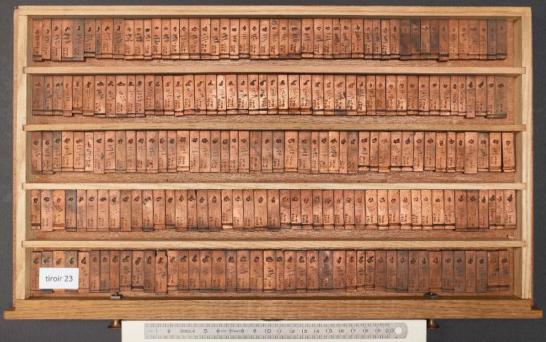 Tiroir de matrices : arabe d'Avicenne corps 17