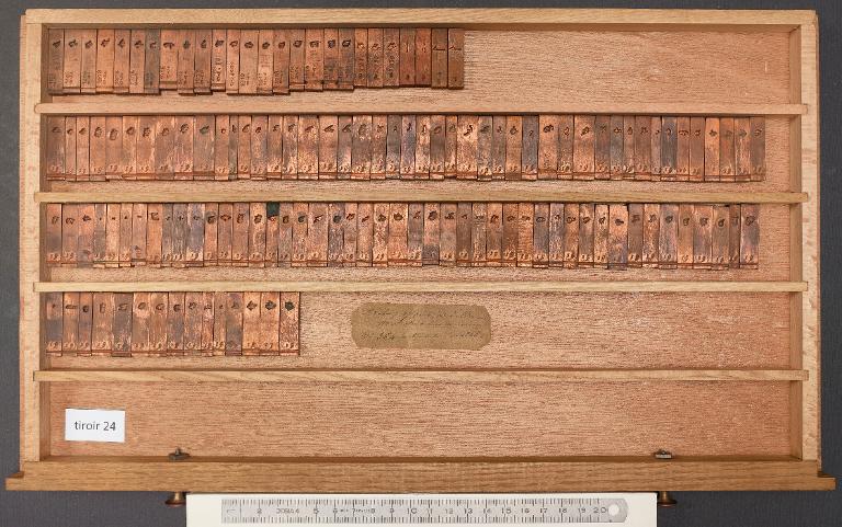 Tiroir de matrices : arabe d'Avicenne