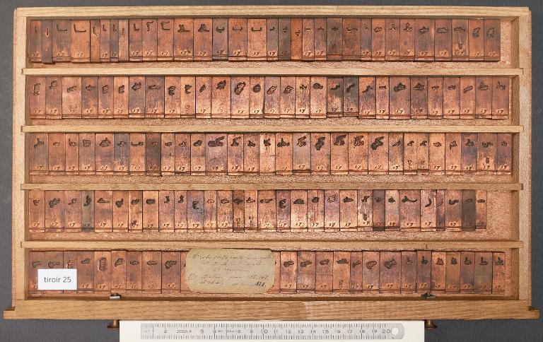 Tiroir de matrices : arabe des Quatre Évangiles corps 30