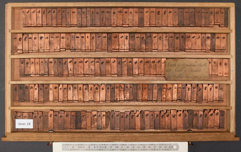 Tiroir de matrices : arabe d'Euclide corps 22