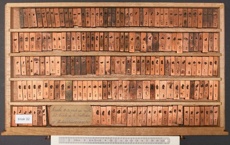 Tiroir de matrices : arabe de la Collection corps 24