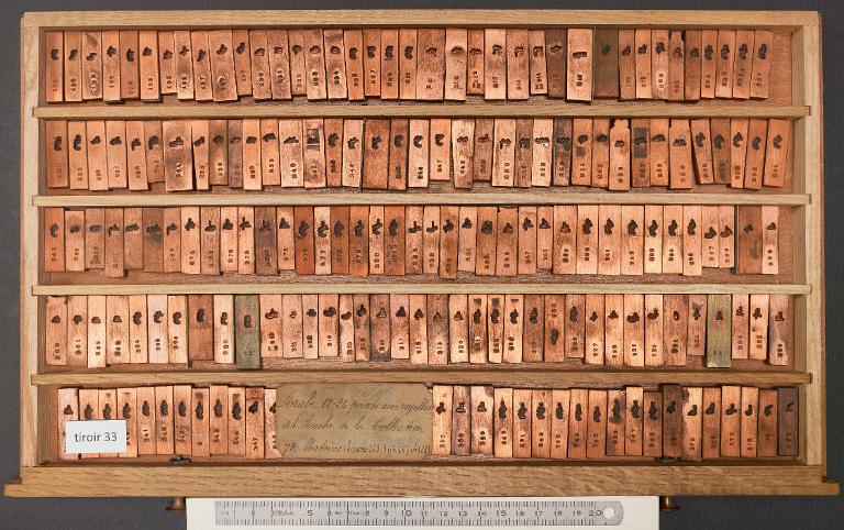 Tiroir de matrices : arabe de la Collection corps 24