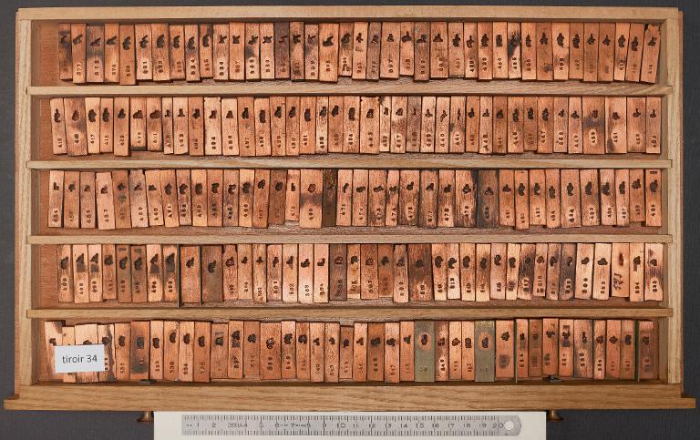 Tiroir de matrices : arabe de la Collection corps 24