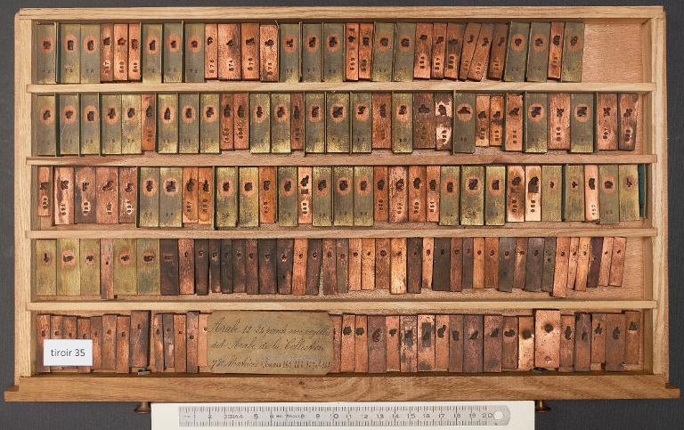 Tiroir de matrices : arabe de la Collection corps 24