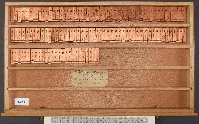 Tiroir de matrices : arabe de la Propagande corps 13