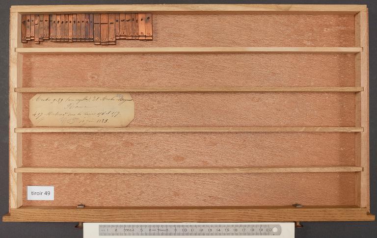 Tiroir de matrices : arabe moyen corps 29