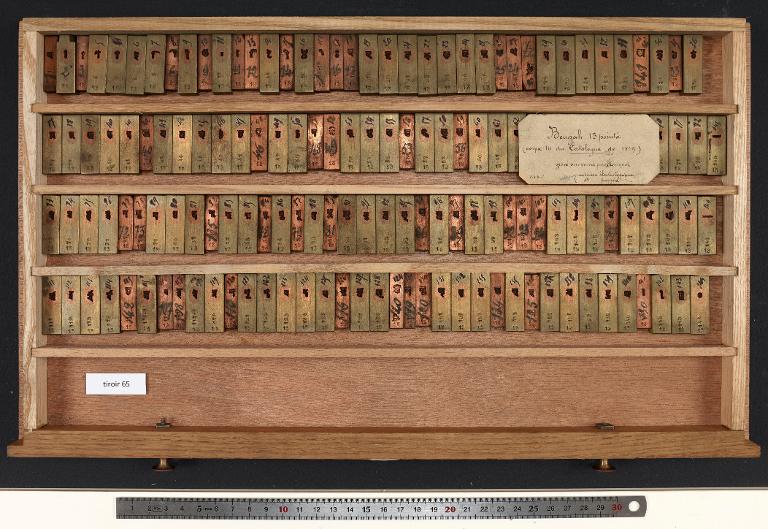 Tiroir de matrices : bengali corps 13