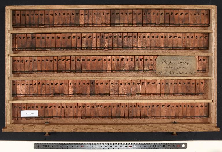 Tiroir de matrices : canara et télougou corps 9