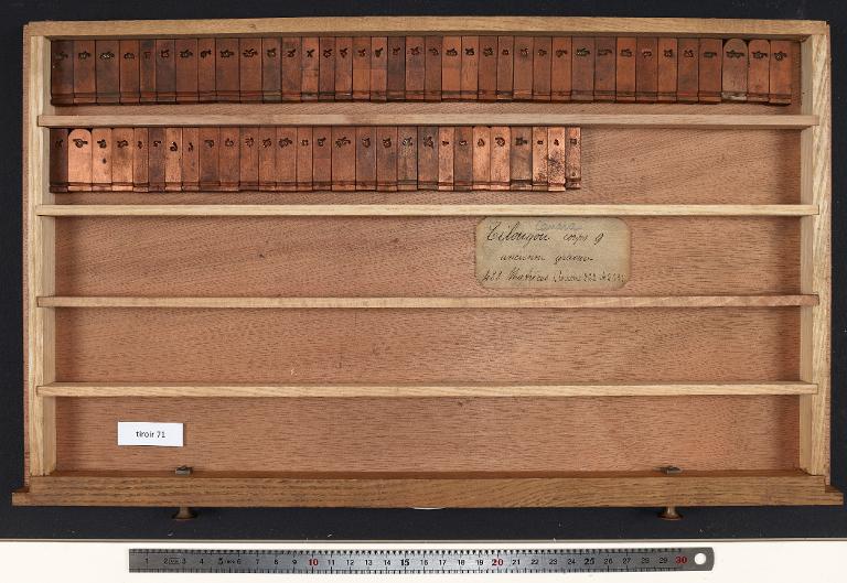 Tiroir de matrices : canara et télougou corps 9
