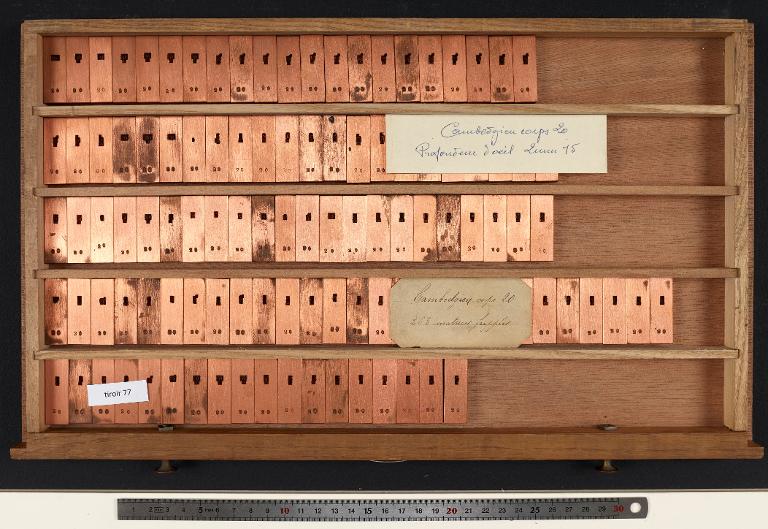 Tiroir de matrices : khmer jrien corps 20