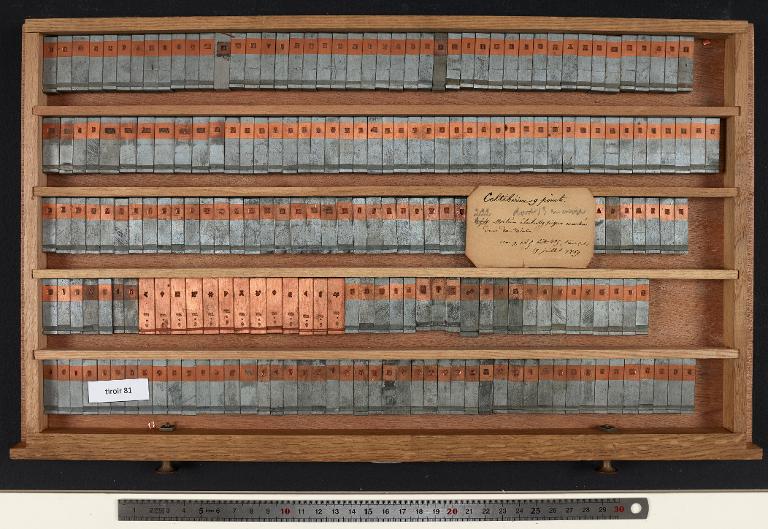 Tiroir de matrices : celtibérien corps 9