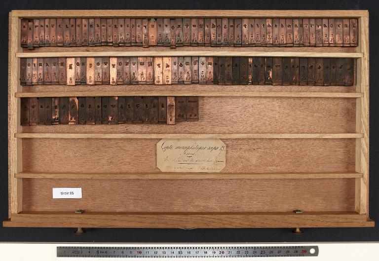 Tiroir de matrices : copte memphitique corps 13