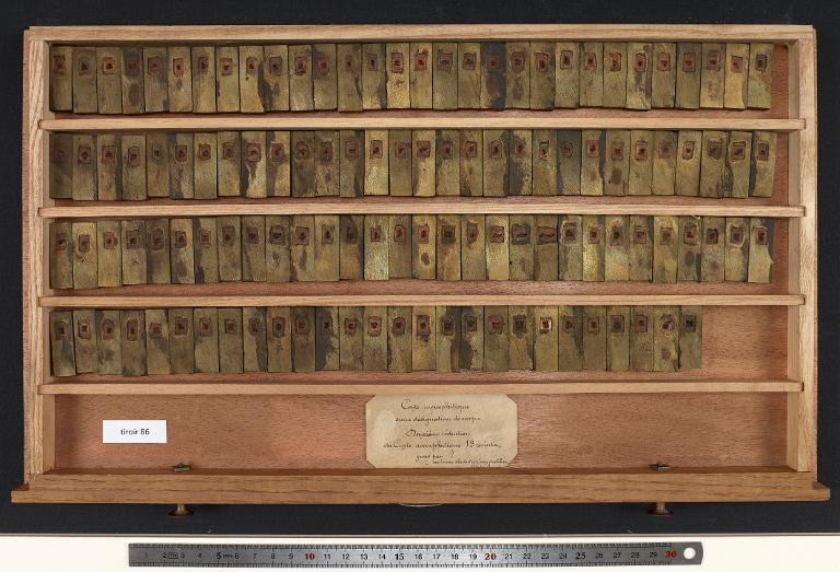 Tiroir de matrices : copte memphitique corps 13