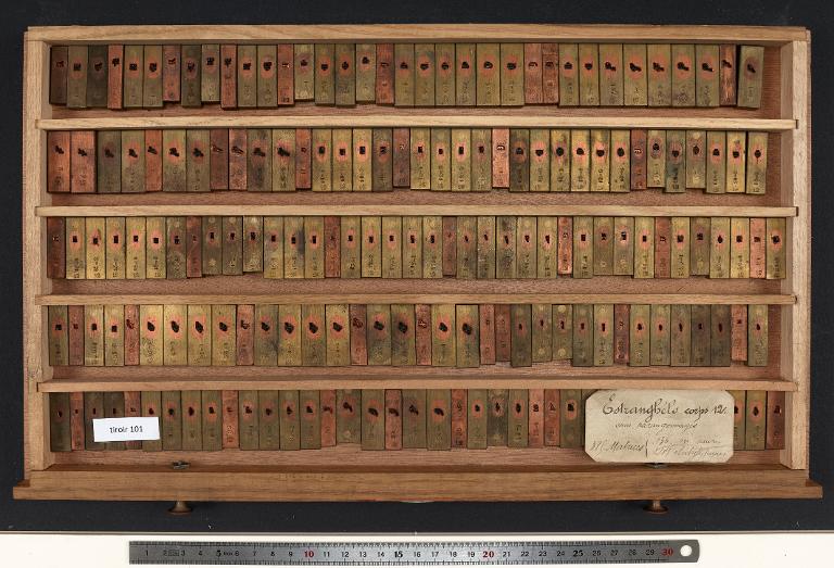 Tiroir de matrices : estrangélo corps 12