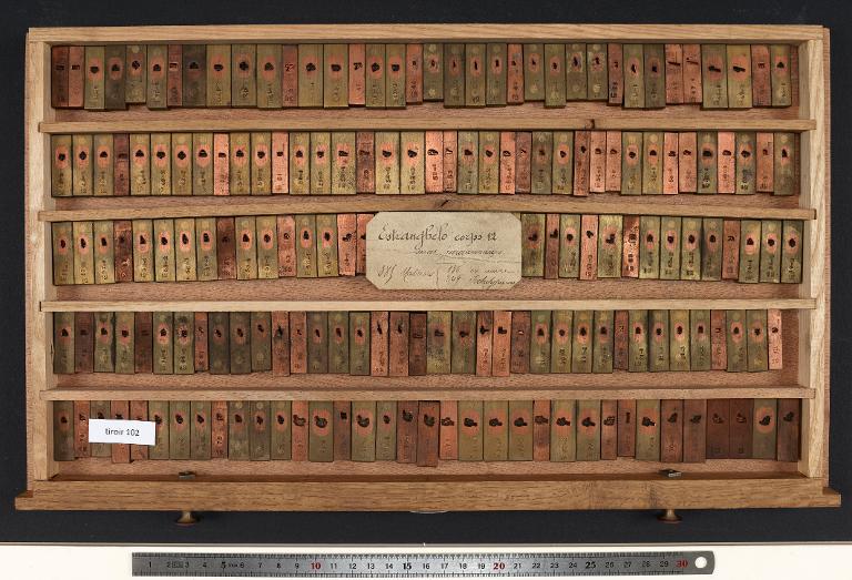 Tiroir de matrices : estrangélo corps 12