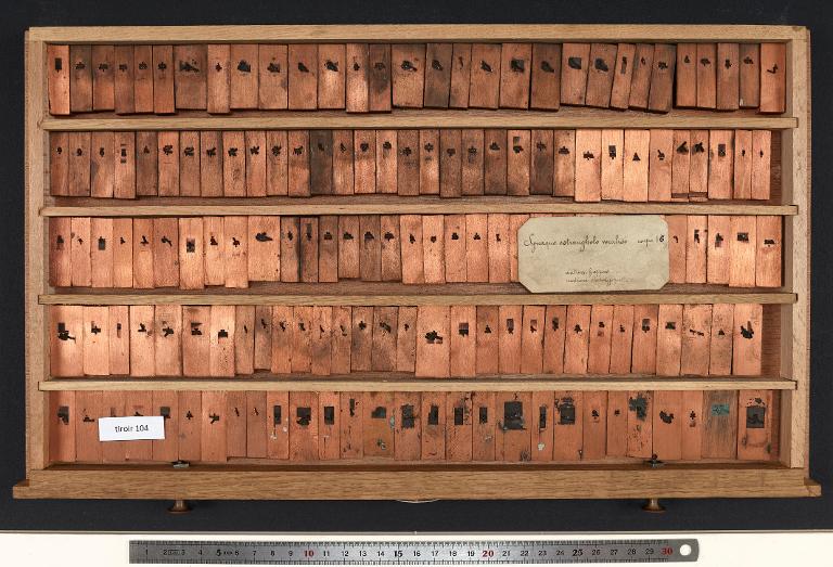 Tiroir de matrices : estrangélo corps 16