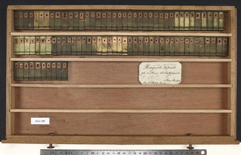 Tiroir de matrices : sud-arabique corps 12