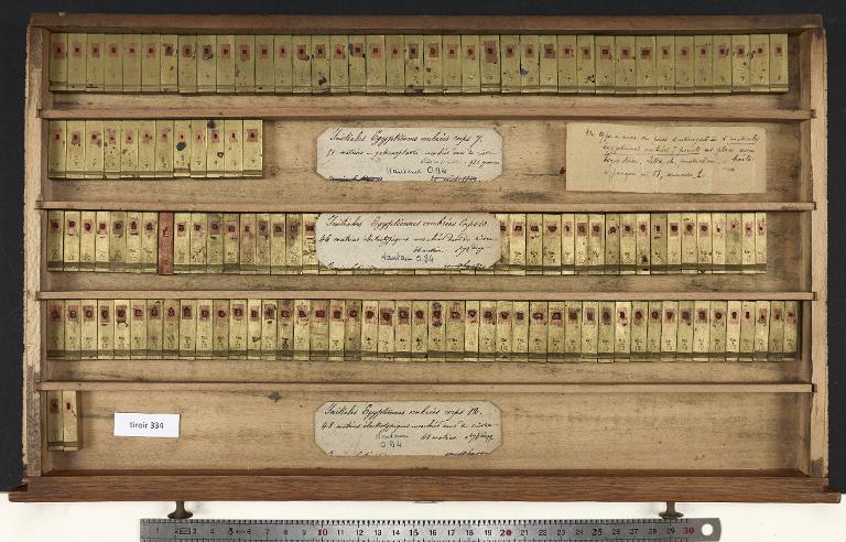 Tiroir de matrices : égyptienne ombrée
