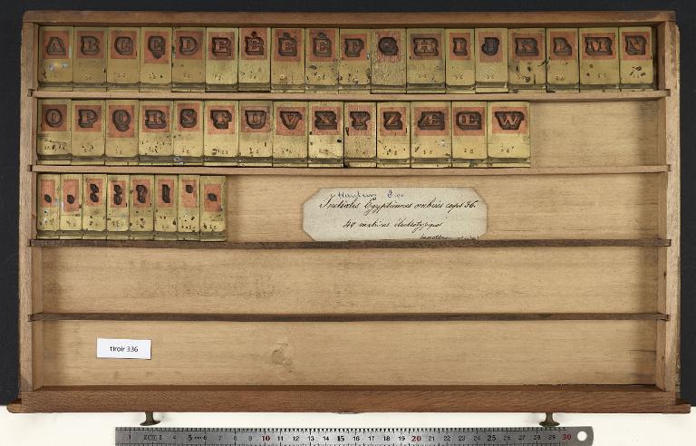 Tiroir de matrices : égyptienne ombrée corps 36