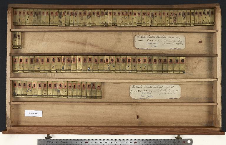 Tiroir de matrices : étroite ombrée , initiale