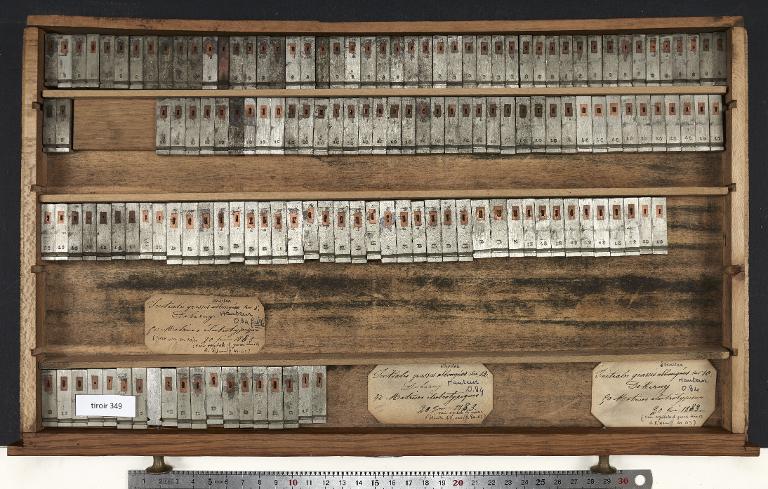 Tiroir de matrices : grasse étroite , initiale