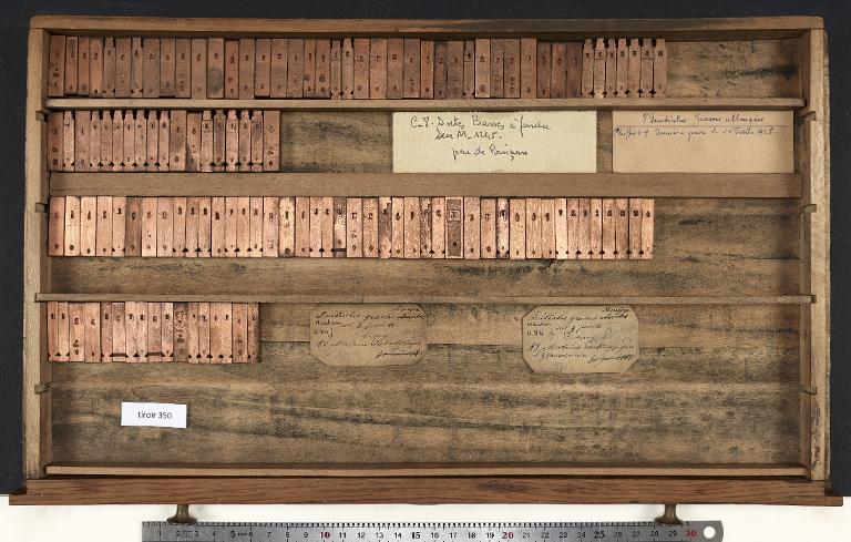 Tiroir de matrices : grasse allongée , initiale