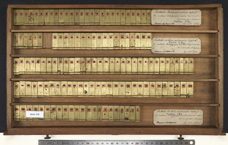 Tiroir de matrices : ombrée et ombrée raccourcie , initiale