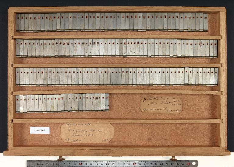Tiroir de matrices : Didot millimétrique corps 9 , romain