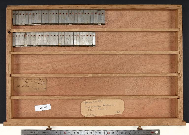 Tiroir de matrices : Didot millimétrique corps 9