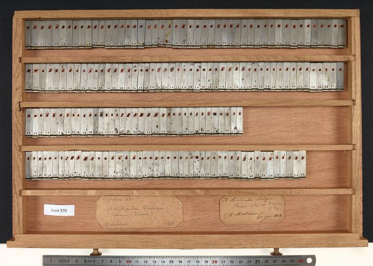 Tiroir de matrices : Didot millimétrique corps 12