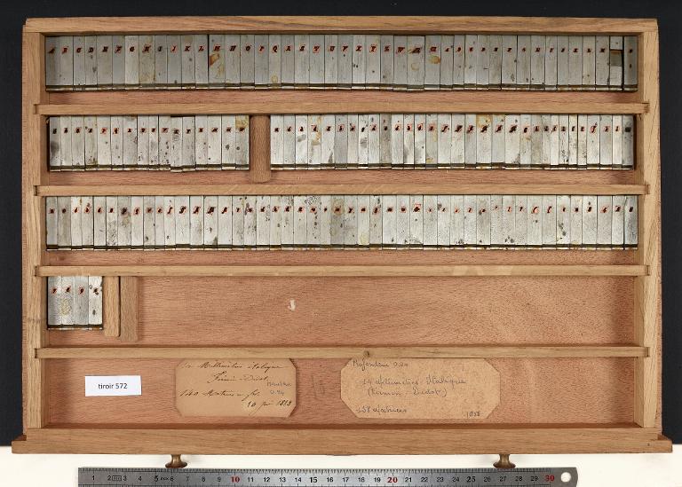 Tiroir de matrices : Didot millimétrique corps 14