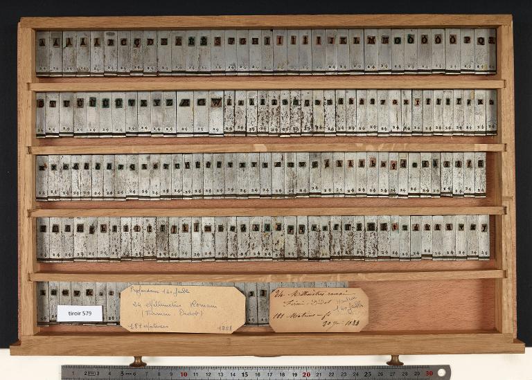Tiroir de matrices : Didot millimétrique corps 24 , romain