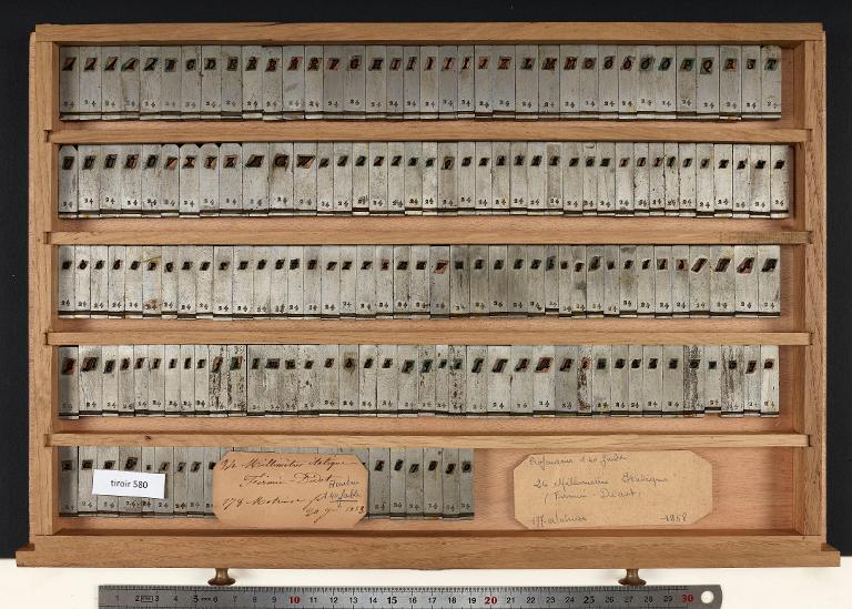 Tiroir de matrices : Didot millimétrique corps 24
