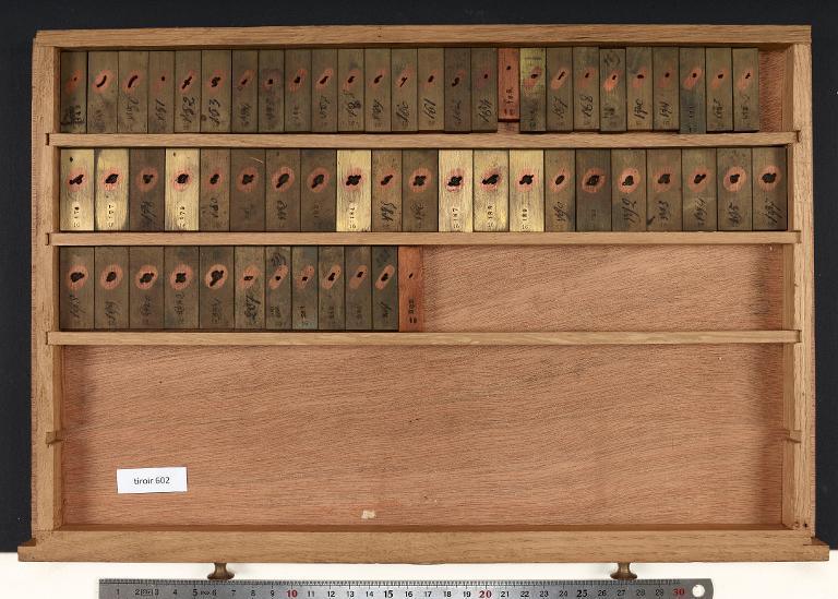 Tiroir de matrices : anglaise Didot corps 16