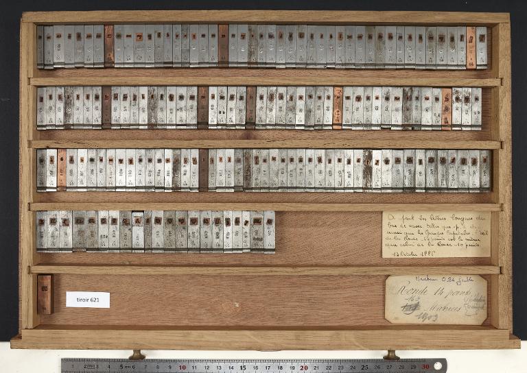 Tiroir de matrices : ronde corps 14