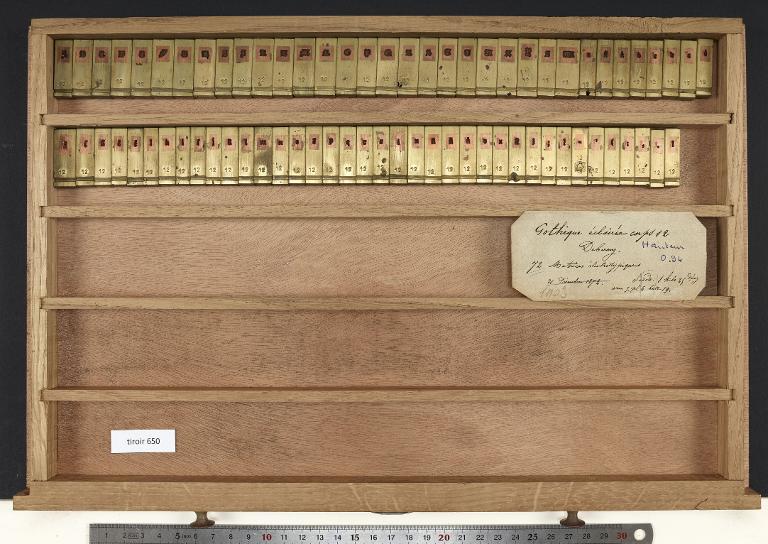 Tiroir de matrices : gothique éclairée corps 12