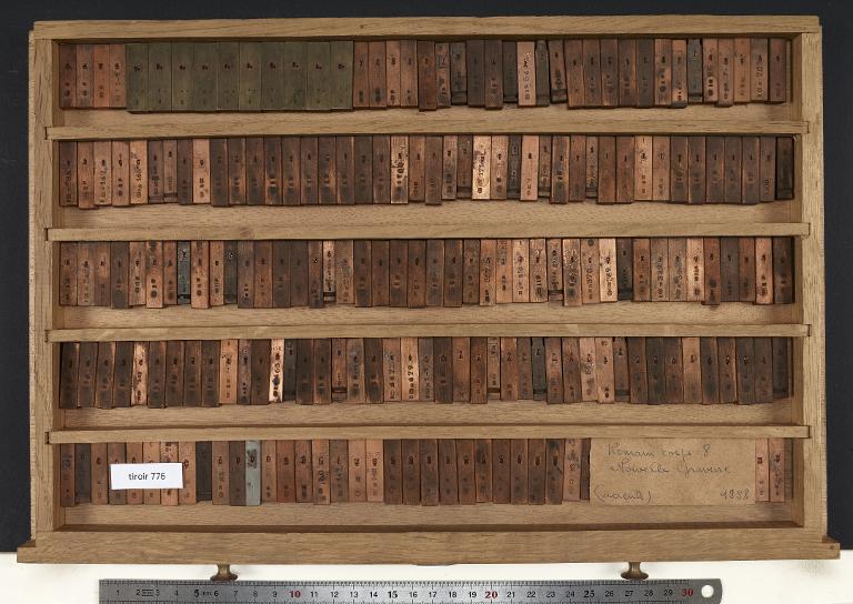 Tiroir de matrices : romain corps 8