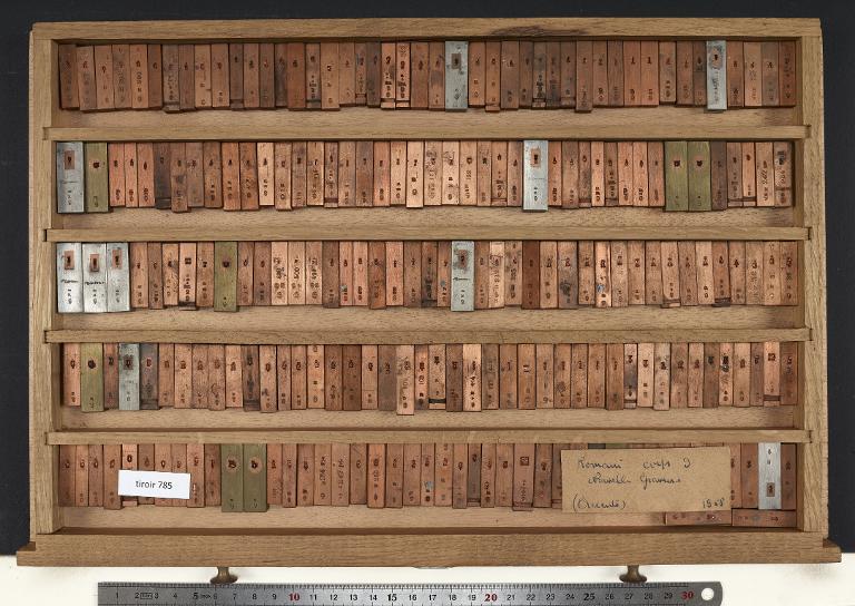 Tiroir de matrices : romain corps 9