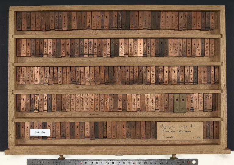 Tiroir de matrices : italique corps 10