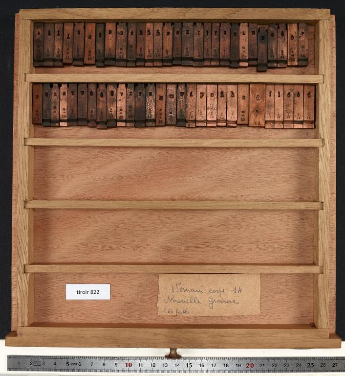Matrices : romain corps 14