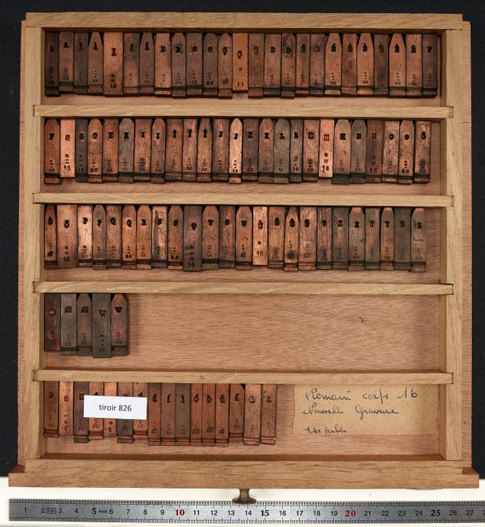 Matrices : romain corps 16