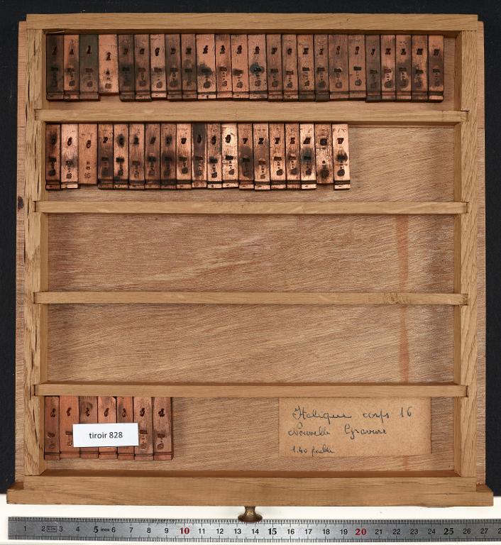 Matrices : italique corps 16