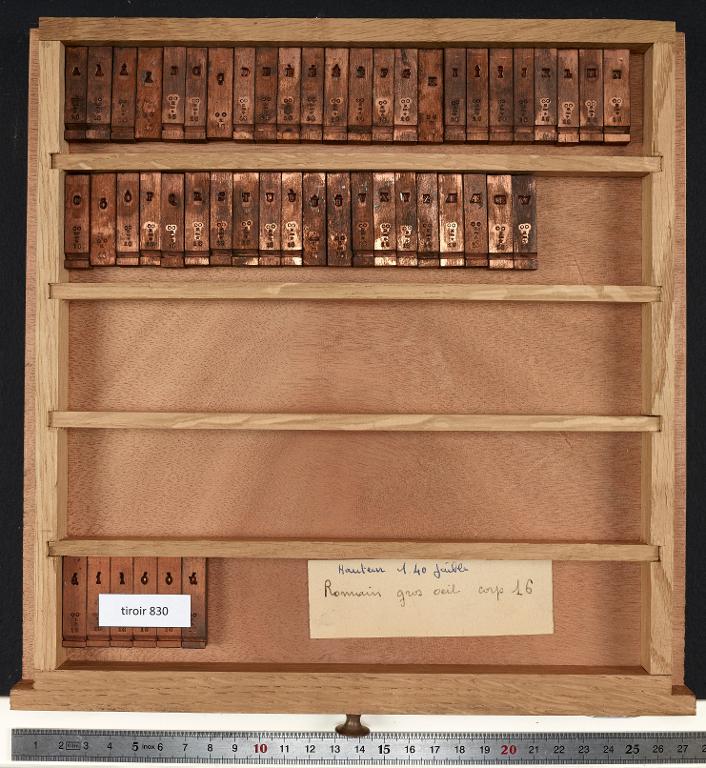 Matrices : romain corps 16