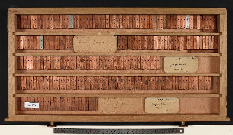 Matrices : Jaugeon corps 6 , romain